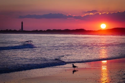 Sérénité du coucher de soleil : Vagues et silhouettes au bord de l'océan