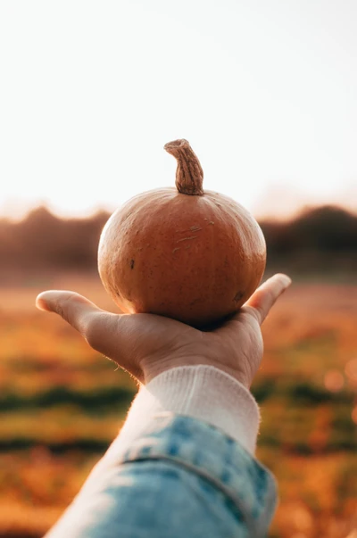 halloween, citrouille, squash, courge dhiver, nourriture