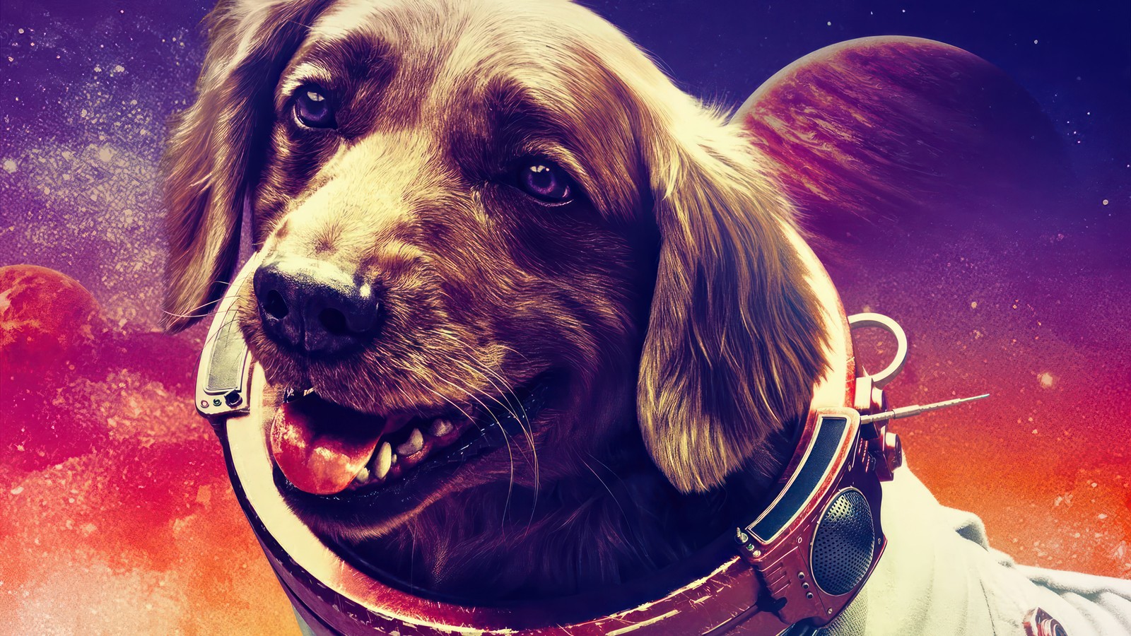 cosmo, astronaut, dog, guardians of the galaxy, movie wallpaper