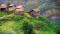 Encantadoras casas de madera en la cima de una colina en la Noruega rural rodeadas de naturaleza