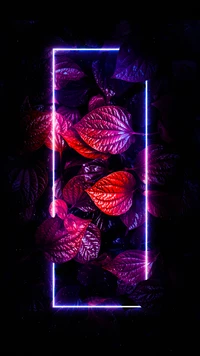 Feuilles magenta électriques encadrées par une lumière néon