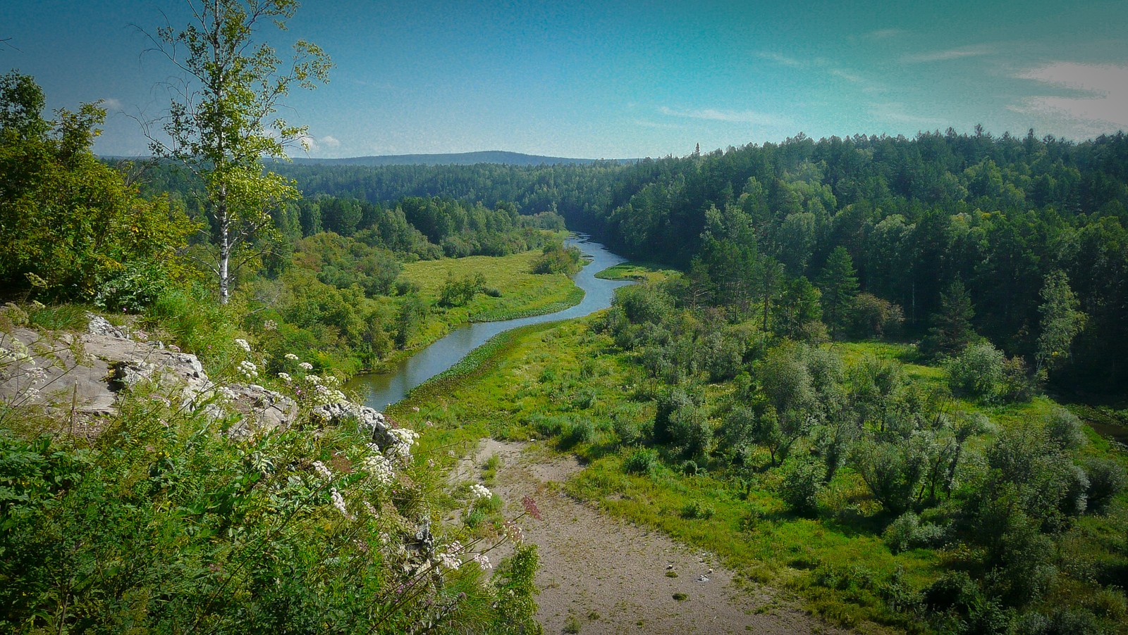 Una vista de un río que atraviesa un denso bosque verde (naturaleza, reserva natural, desierto, vegetación, rio)