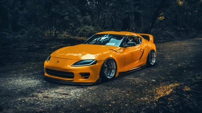 Stunning Toyota Supra A90 in Vibrant Orange on a Scenic Path