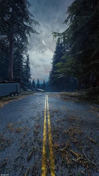 Route ouverte abandonnée à travers une forêt luxuriante au crépuscule