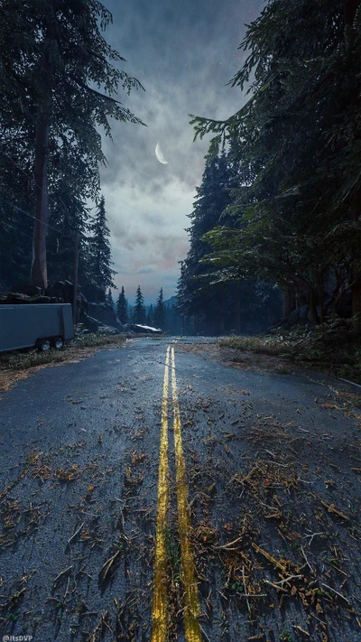 Estrada aberta abandonada através de uma floresta exuberante ao anoitecer