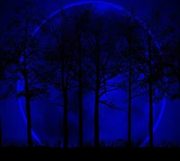 Arbres en silhouette sous une lune bleue