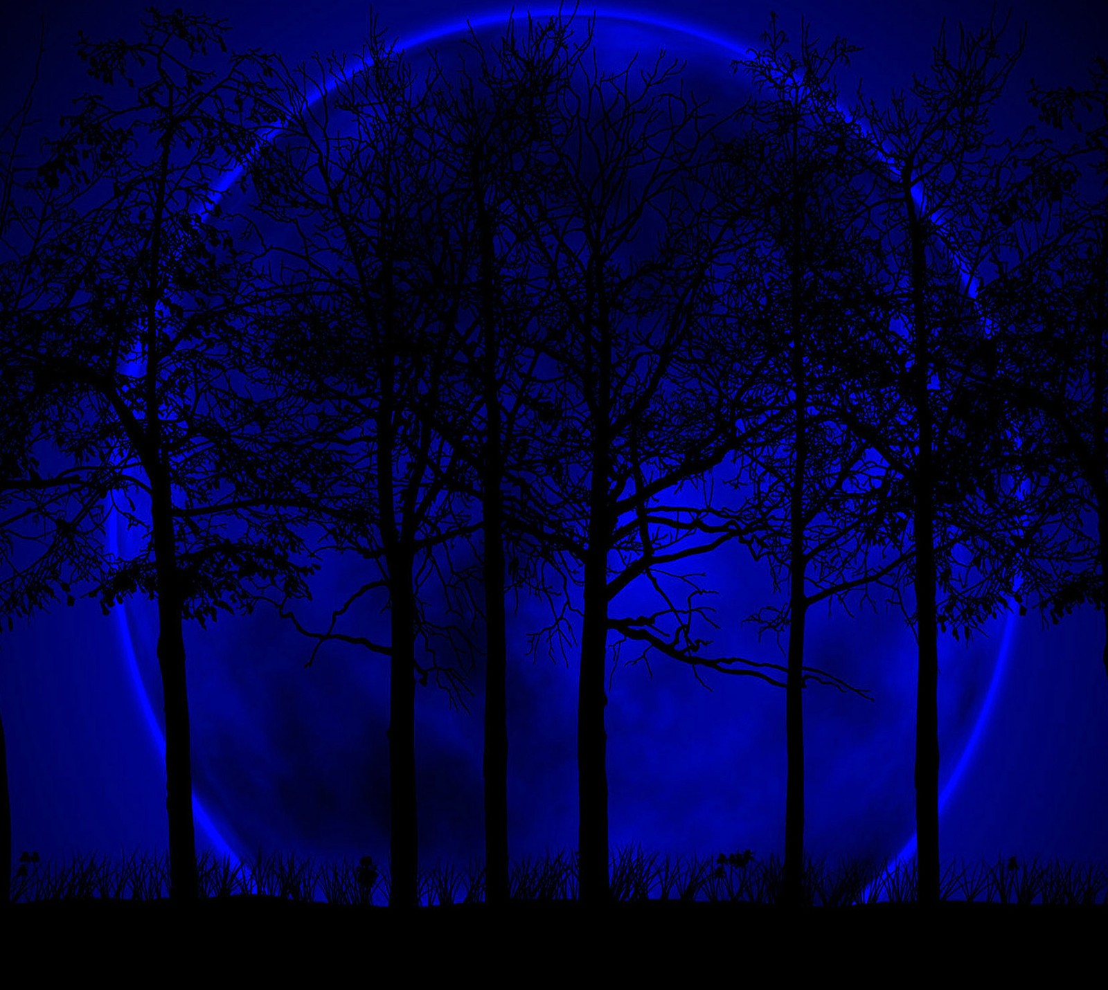 Des arbres devant une lune bleue avec un ciel bleu (bleu, lune)