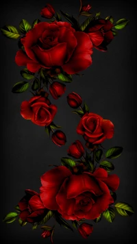 Elegant Red Roses on a Black Background.