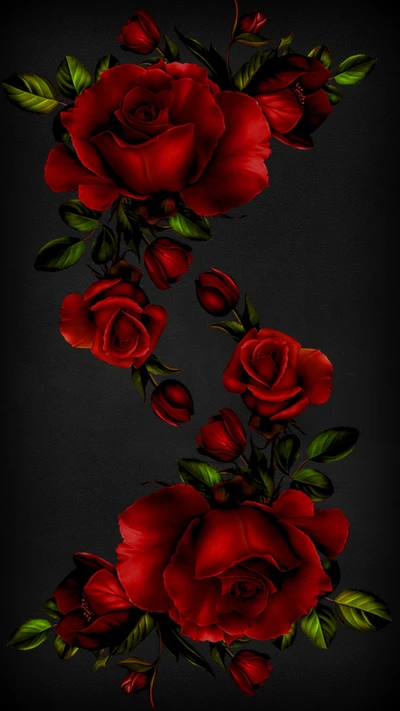 Elegant Red Roses on a Black Background.