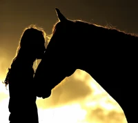 Um momento terno de amor entre uma garota e seu cavalo ao pôr do sol.