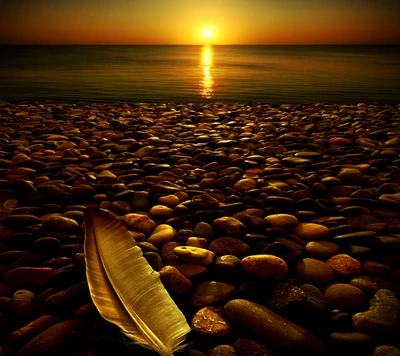 playa, mar, atardecer