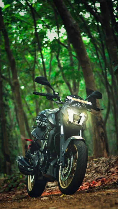 Moto Honda de 200cc dans la nature luxuriante