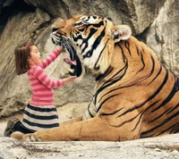 Niña interactuando juguetonamente con un tigre