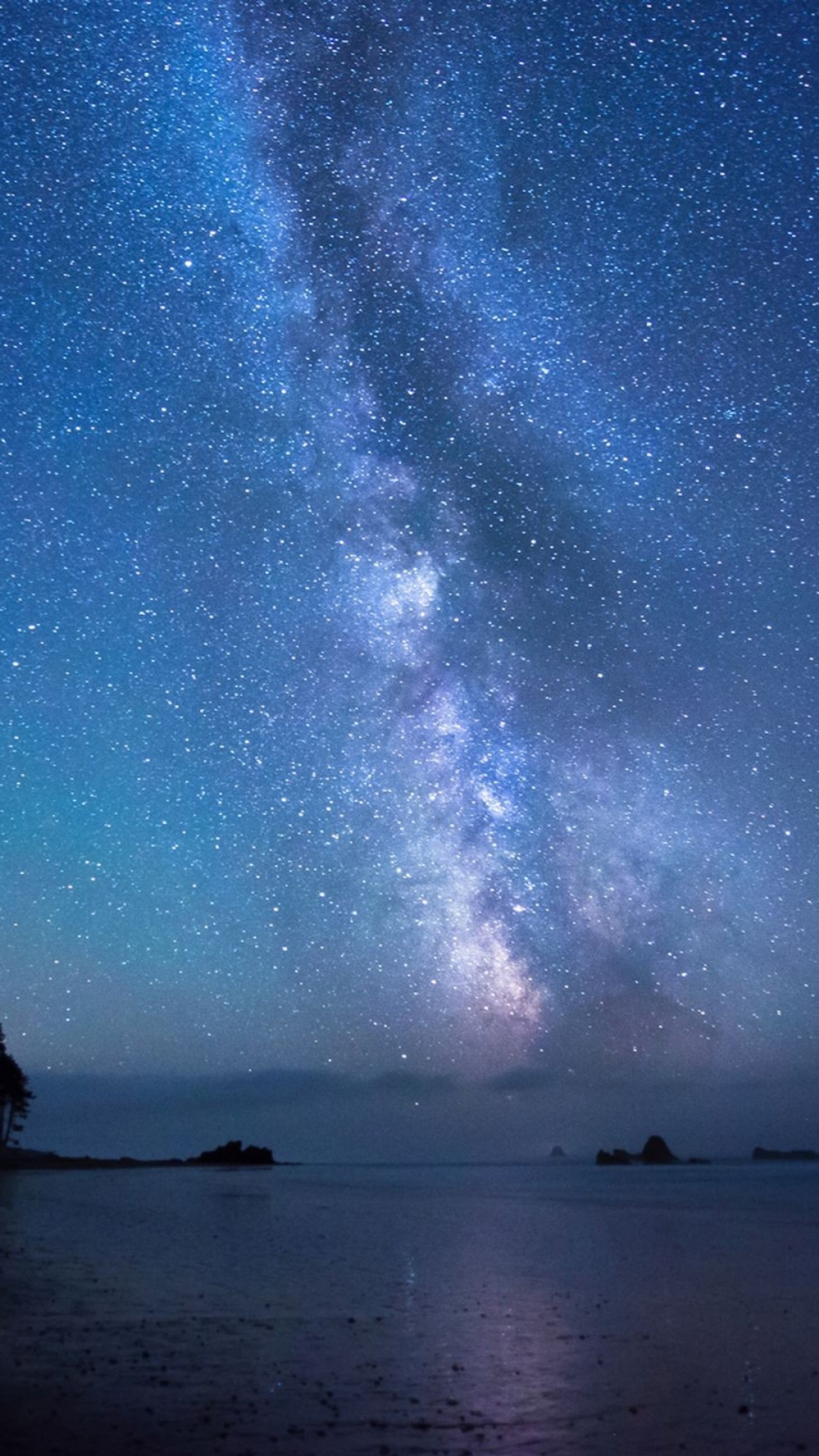 Leite sobre o oceano com uma árvore solitária em primeiro plano (lago, natureza, noite, céu, estrelas)