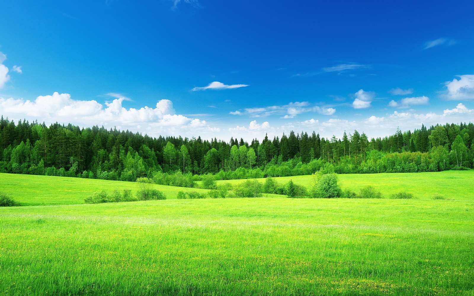 blue, forest, green, landscape, mountain Download Wallpaper