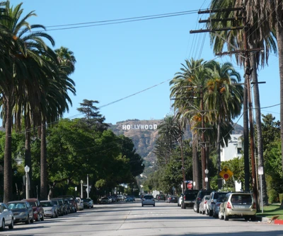 Letreiro de Hollywood sobre uma rua ladeada de palmeiras