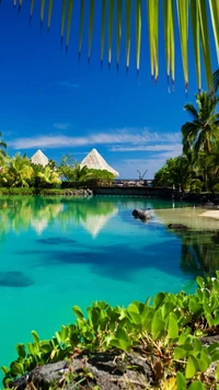 landscape, ocean, palms, resort, sea