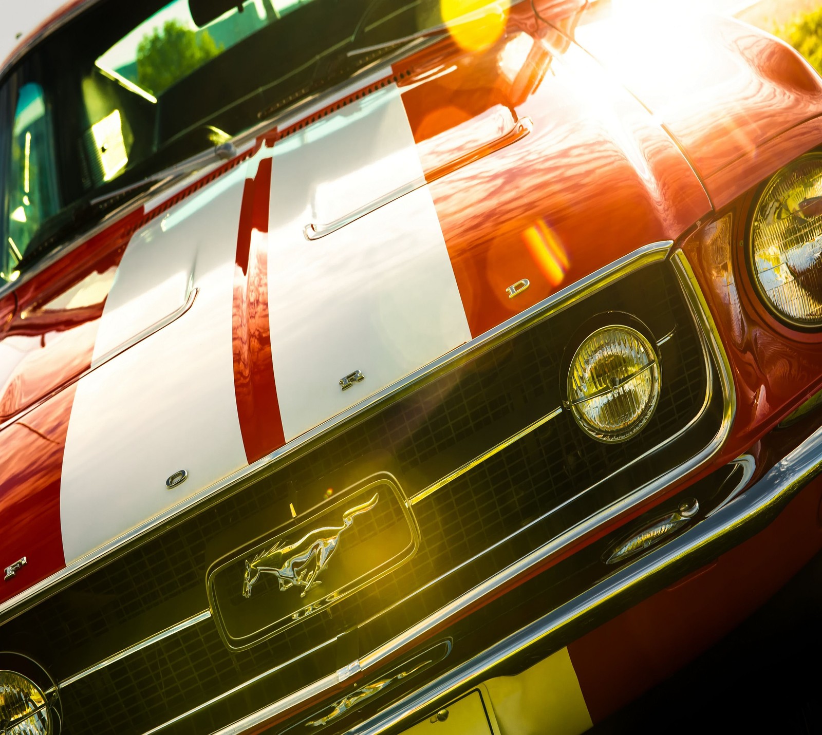 A close up of a red and white car with a white stripe (abej, beograd, ford mustang)