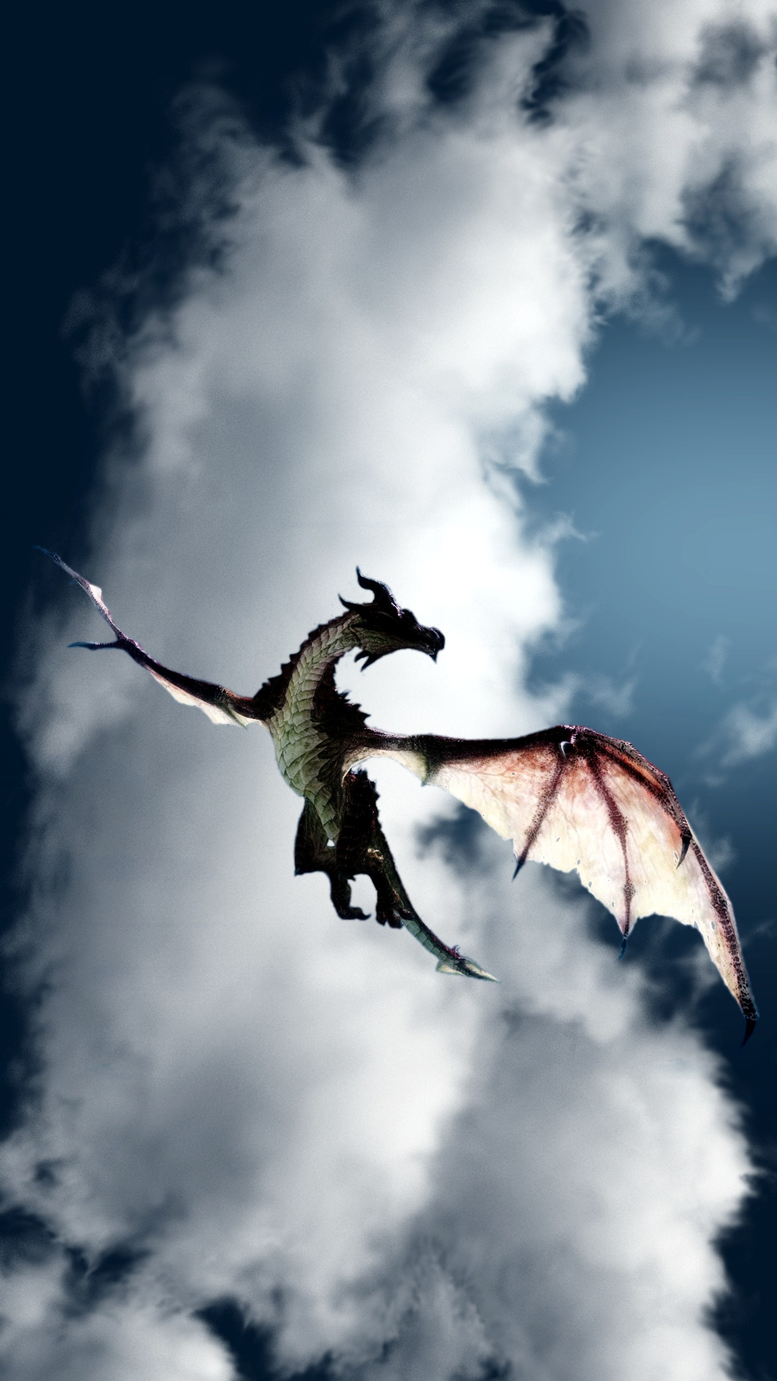 Un dragon volant dans les airs avec un ciel nuageux derrière lui (nuage, dragon, ciel)