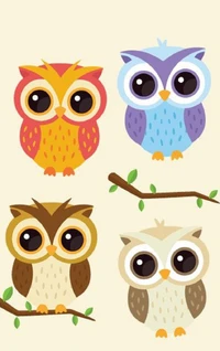 animal, owl wallpaper