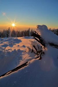 Nascer do sol sobre uma encosta nevada, emoldurado por ramos congelados e uma paisagem natural de árvores.