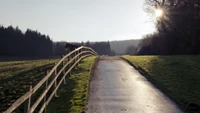 Morgensonnenlicht über einem ruhigen ländlichen Weg mit einem Pferd und einem Zaun