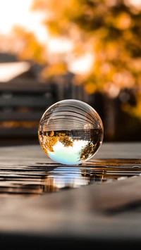 Reflections of Nature: A Crystal Ball Capturing Woodlands and Sky