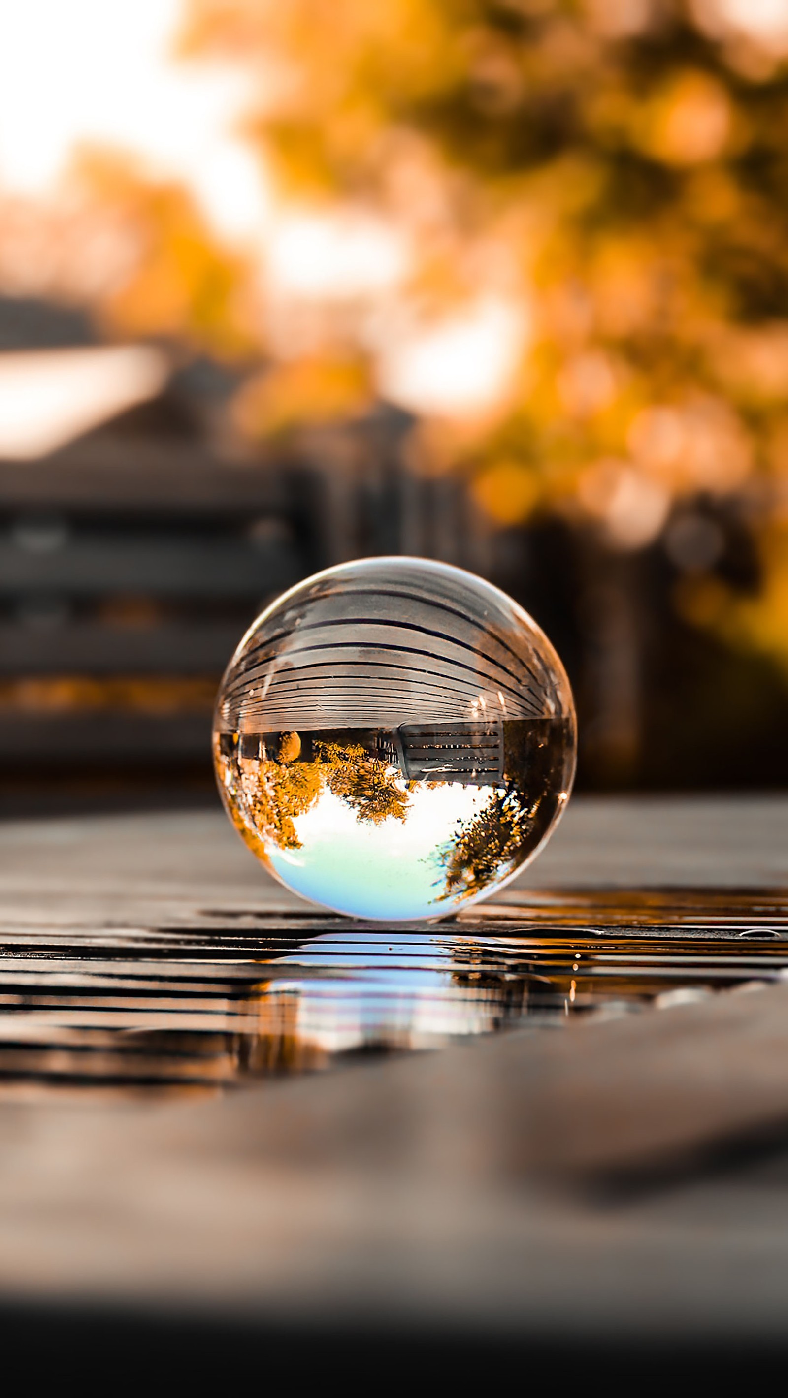 Uma bola de vidro em cima de uma mesa com o reflexo de uma árvore nela (reflexo, água, iluminação automotiva, planta, nuvem)