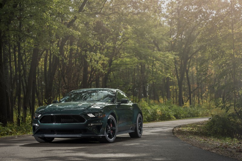 Зеленый мустанг припаркован на дороге в лесу (shelby mustang, машина, ford, маслкар, обод)