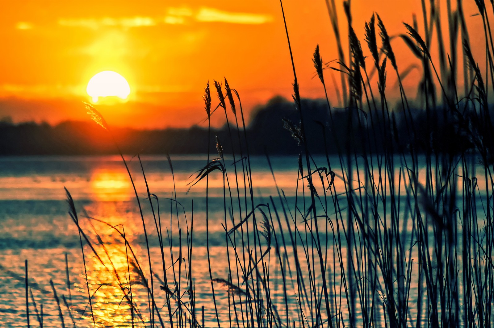 A close up of a body of water with a sun setting in the background (sunset, lake, backlight, scenery, dusk)