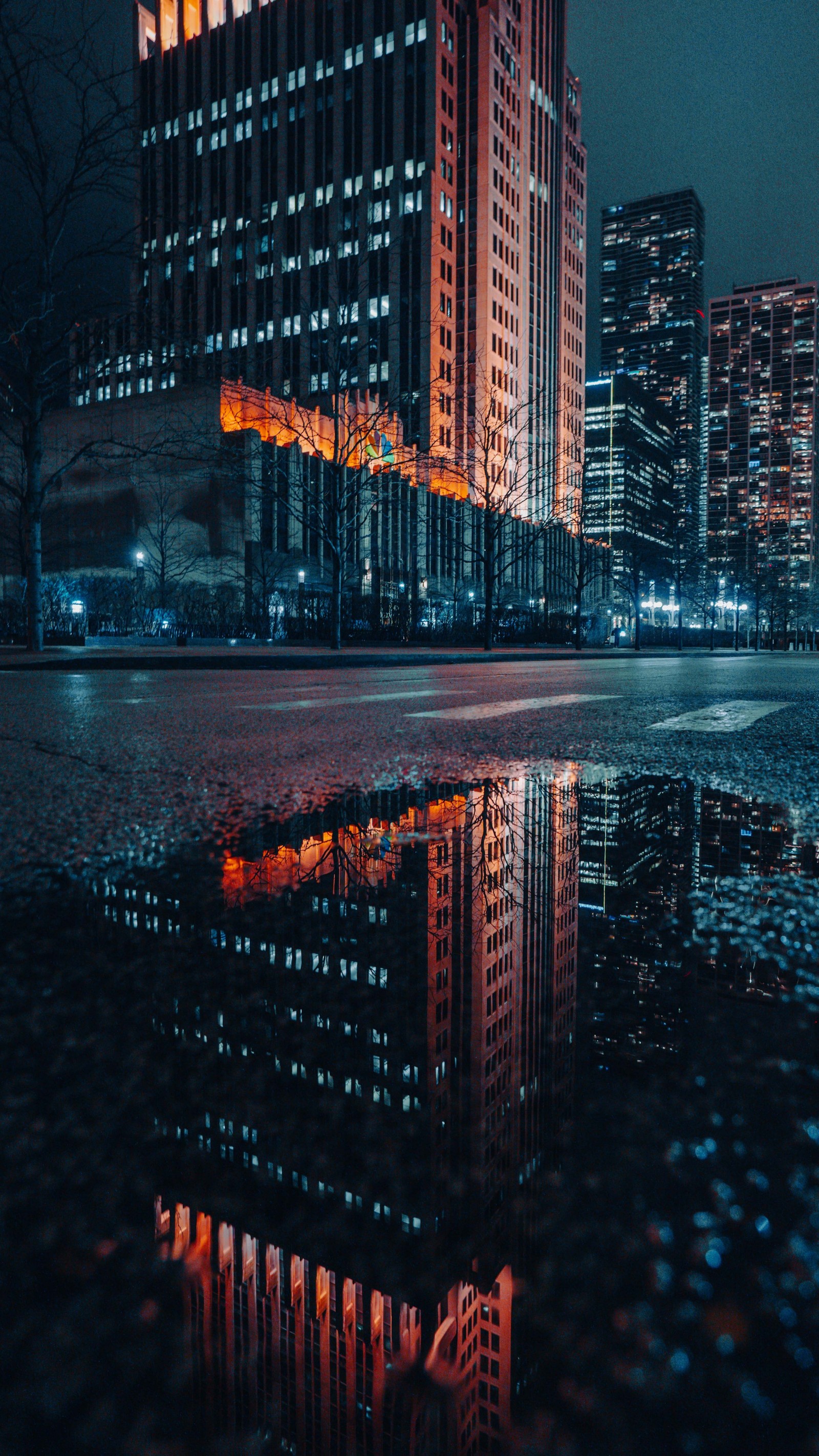 Vista nocturna de una ciudad con el reflejo de un edificio. (paisaje urbano, agua, edificio, día, rascacielos)