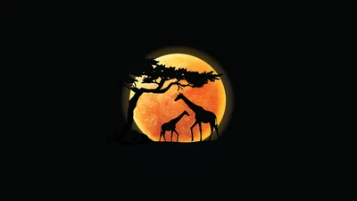 Silhouettes de girafes contre un majestueux coucher de soleil avec la lune