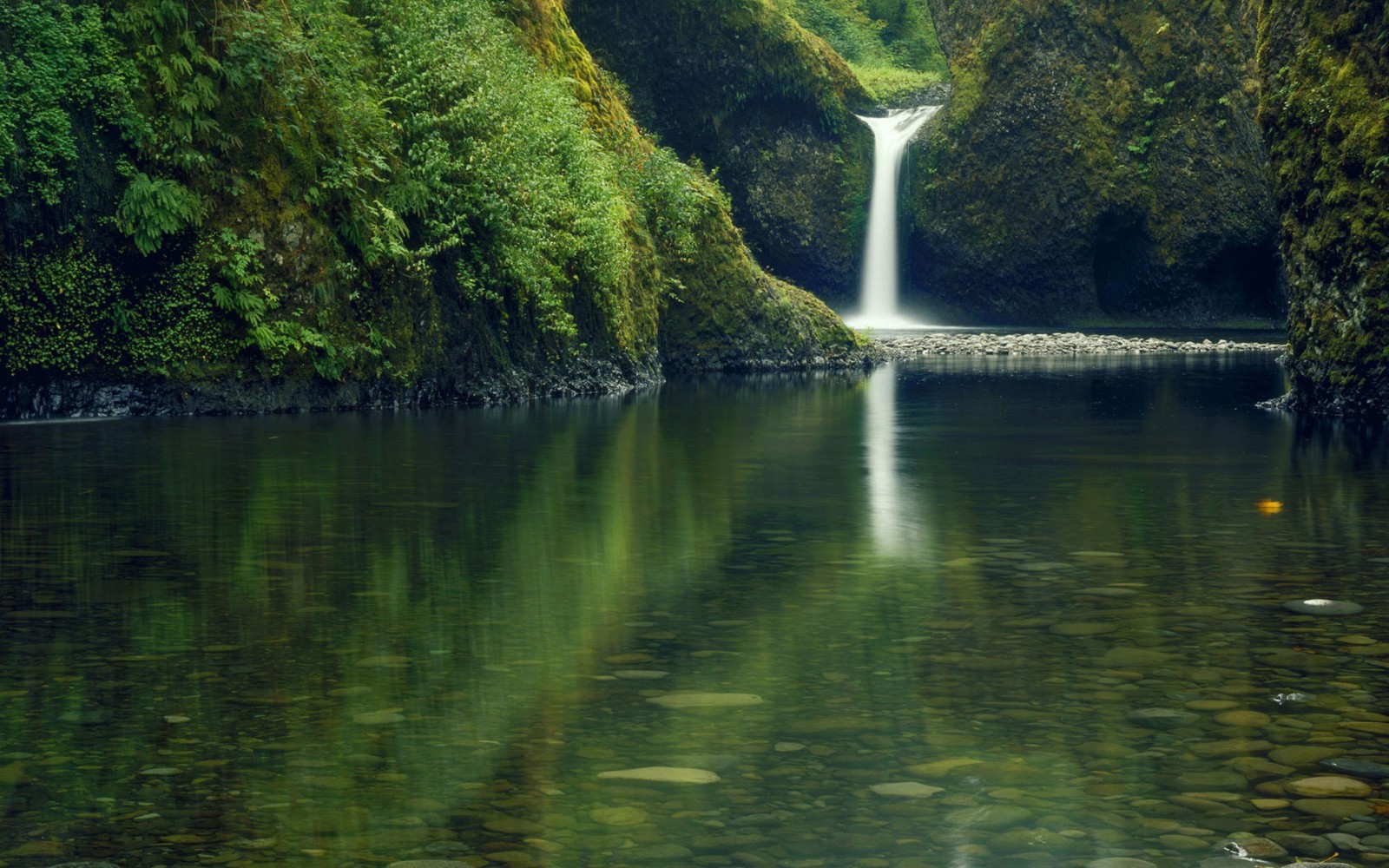 Une cascade au milieu d'une rivière entourée d'arbres (plan deau, ressources en eau, nature, eau, vert)