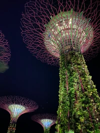 Super-arbres illuminés de Singapour : Une merveille botanique nocturne