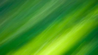 green, color, blue, grass, lime wallpaper