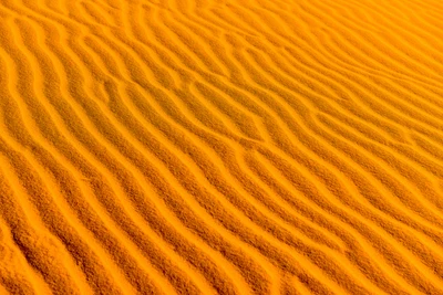 Textured Amber Dunes of the Desert