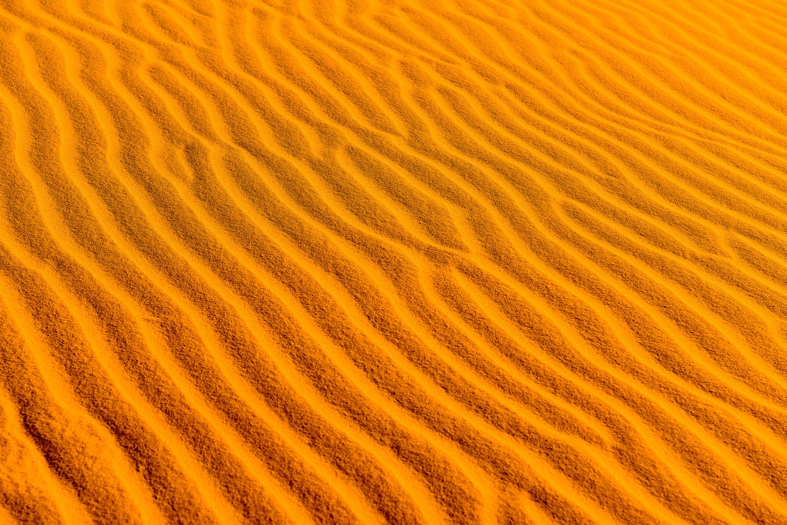 Близкий план желтой песчаной дюны с одной волной (пустыня, песок, дюна, dune, оранжевый)