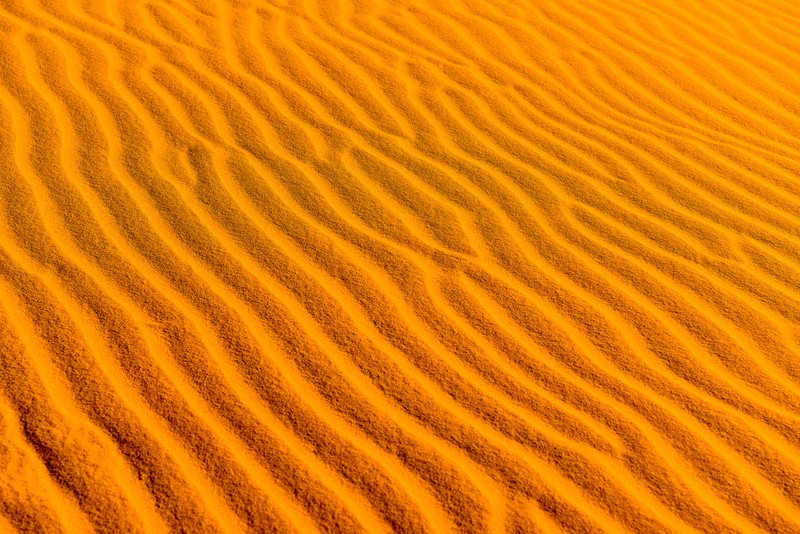 Близкий план желтой песчаной дюны с одной волной (пустыня, песок, дюна, dune, оранжевый)