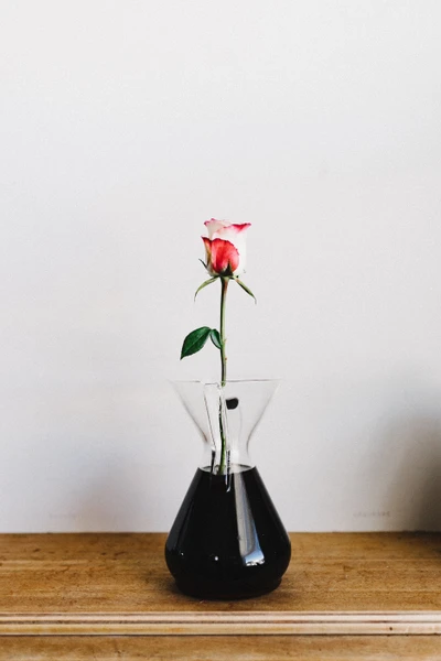 Elegant Ikebana Arrangement with a Single Rose in a Modern Vase