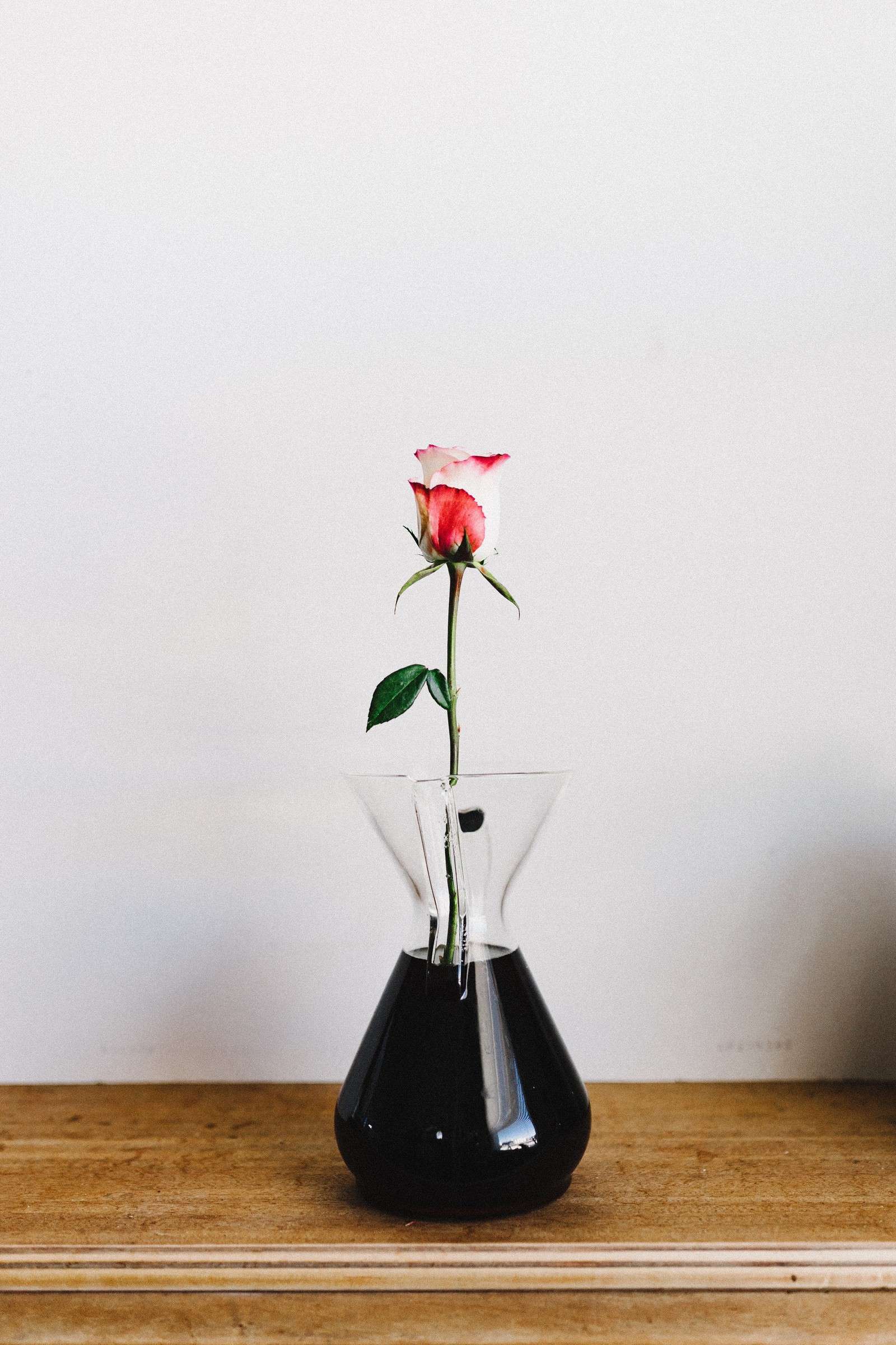 Il y a un vase avec une seule rose sur une table (ikebana, art, plante dintérieur, plante, fleur)