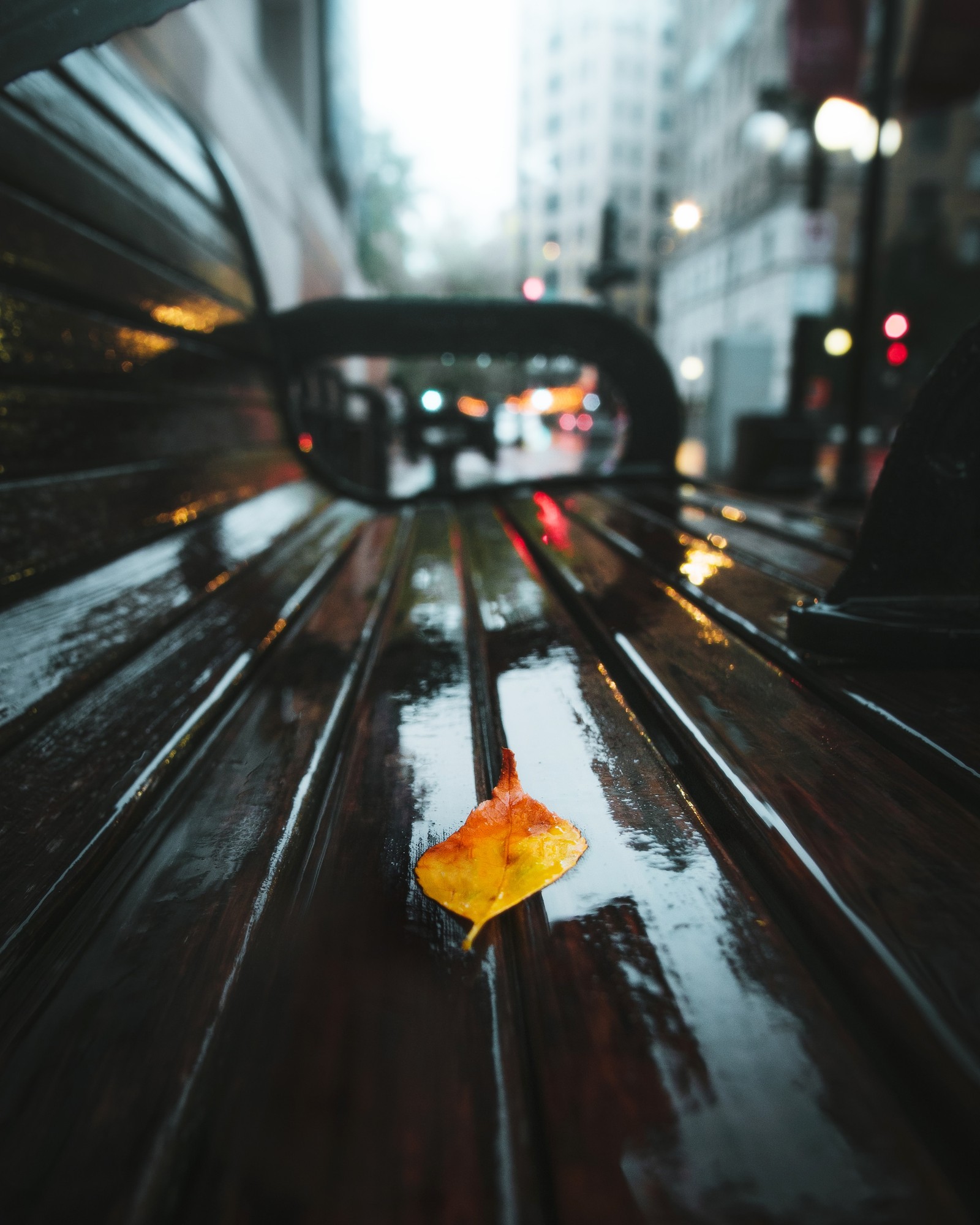 Uma folha que está sentada em um banco na chuva (transporte, amarelo, luz, noite, laranja)