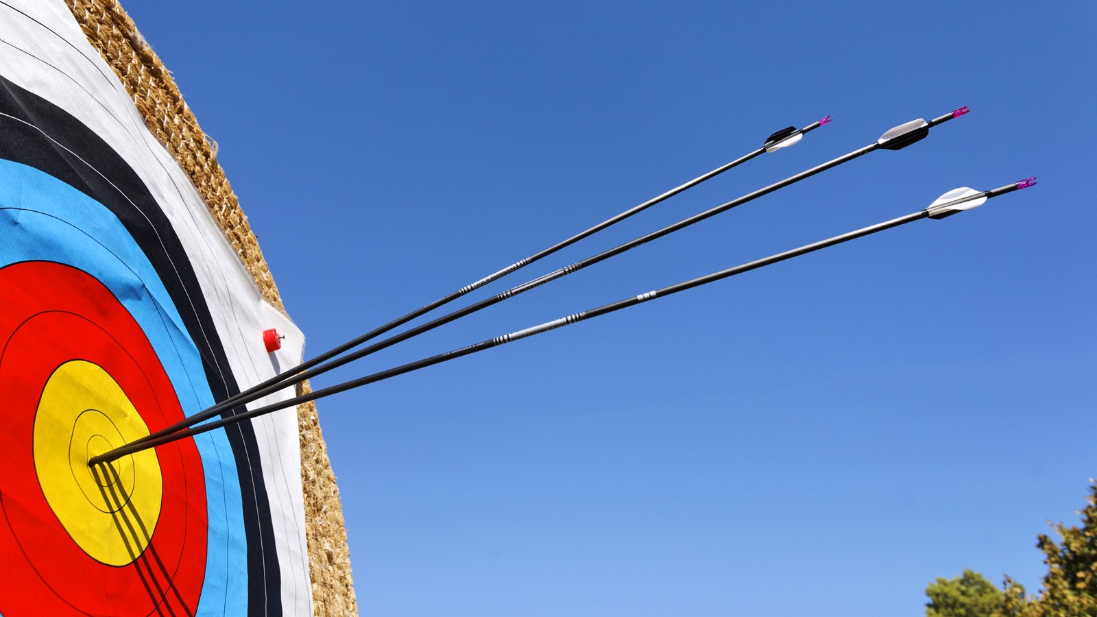 Arrows stuck in the center of a target with a blue sky in the background (archery, arrows, target, 5k, sports)