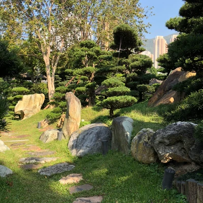 Jardim tranquilo de Hong Kong com árvores esculpidas e rochas naturais