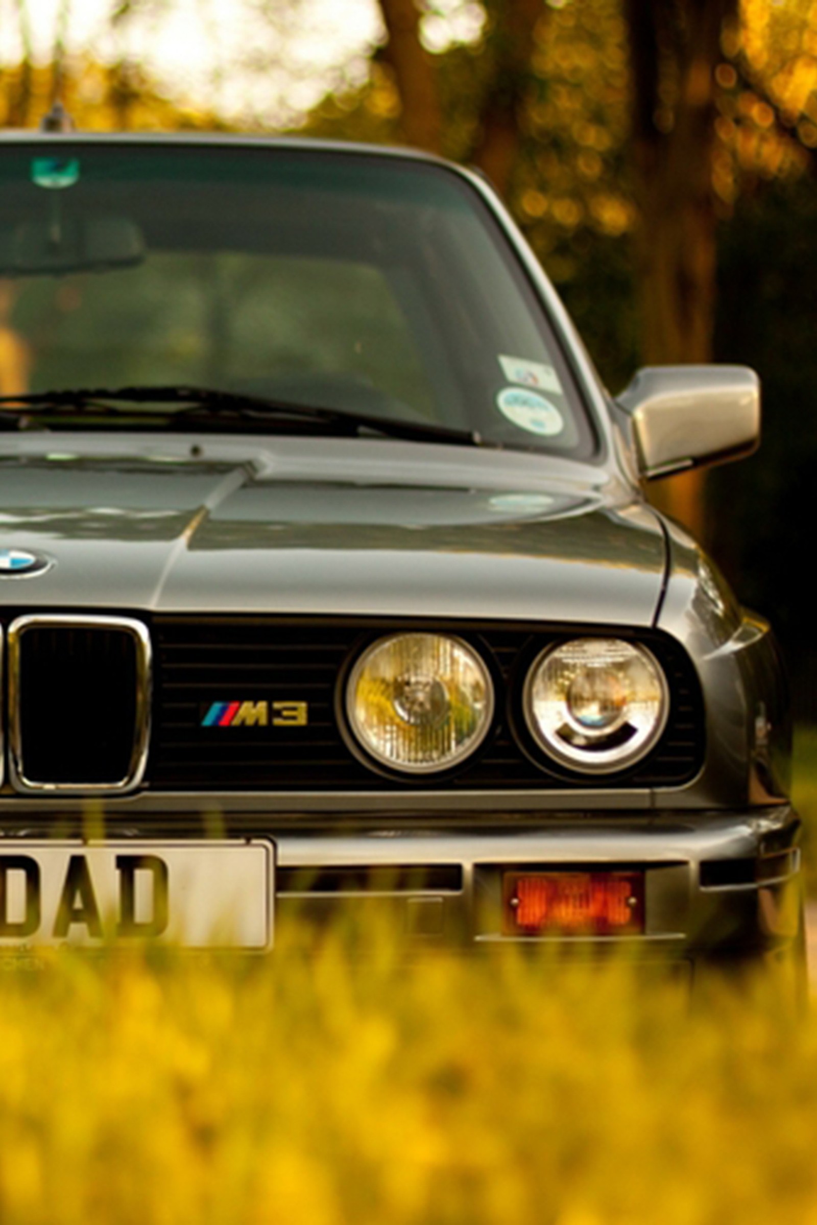 Un coche bmw alquilado estacionado en un campo de hierba amarilla (bmw, coche)