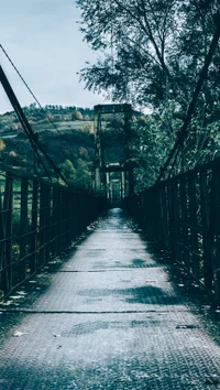 Puente otoñal melancólico rodeado de exuberante vegetación