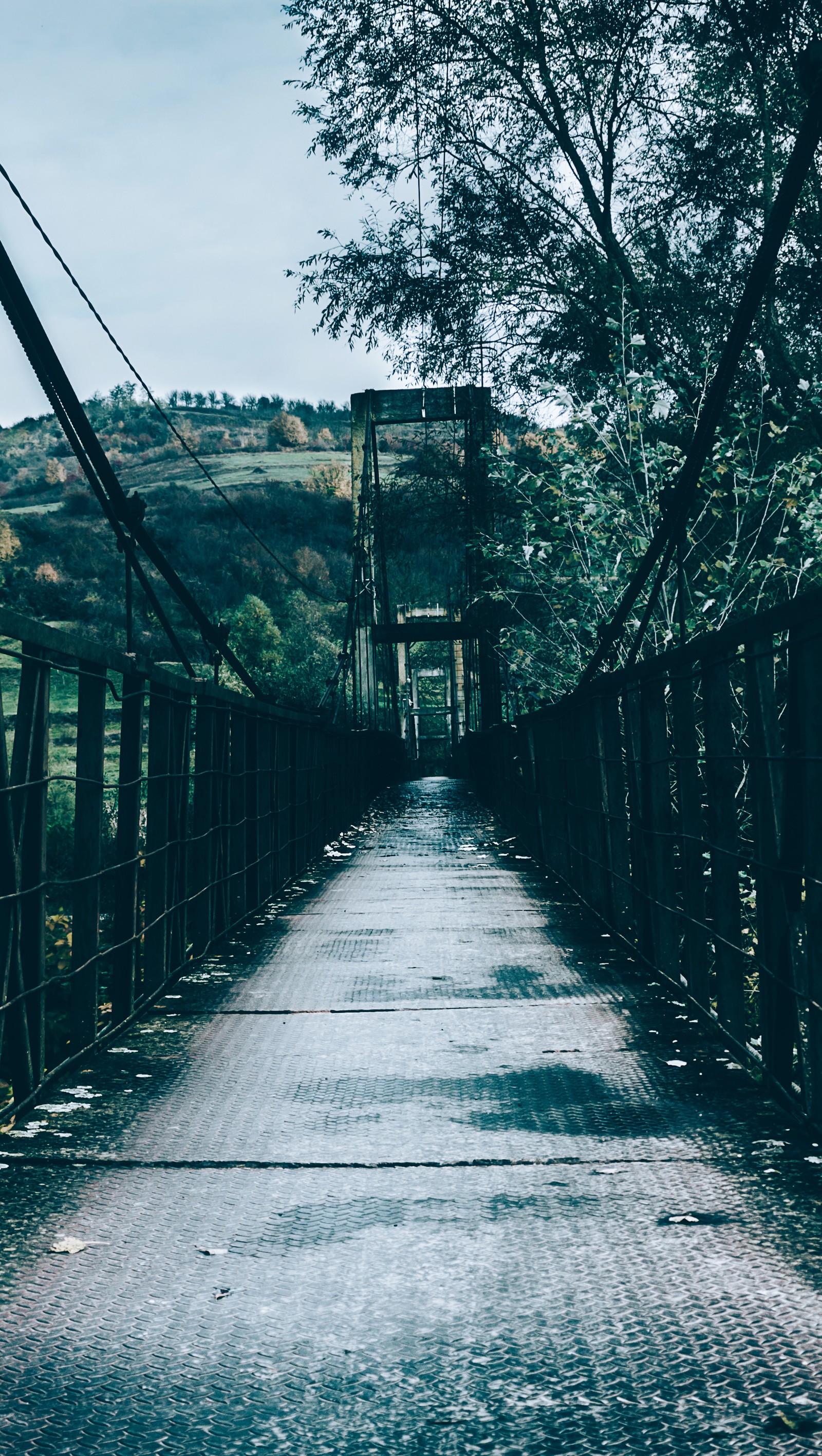 Descargar fondo de pantalla arhitecture, otoño, puente, verde, melancólico