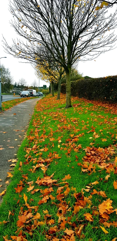 4k, autumn, europe, hd, ireland