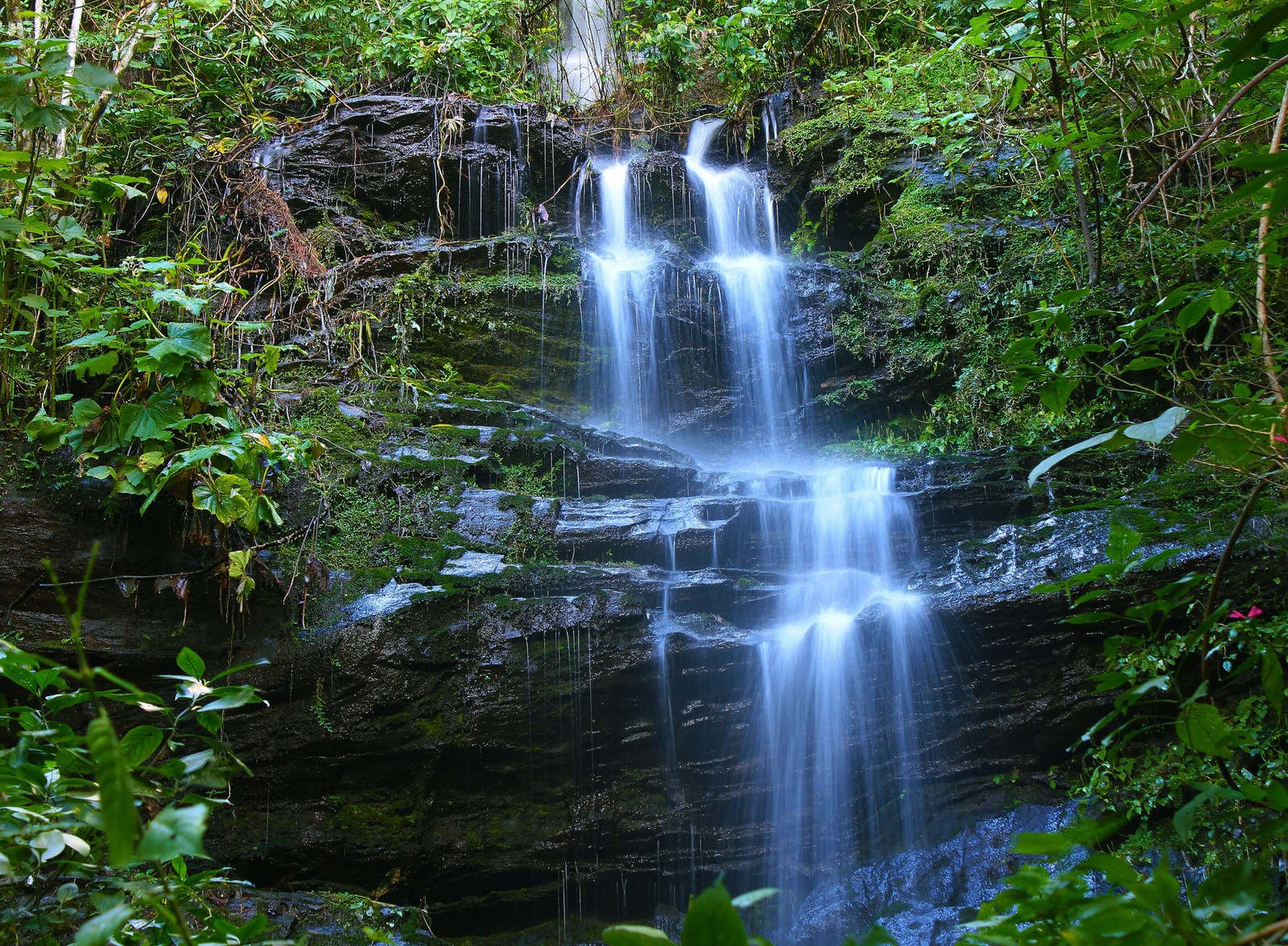 Uma cachoeira árabe no meio de uma floresta com uma cachoeira saindo dela (paisagem, natureza, cachoeiras)