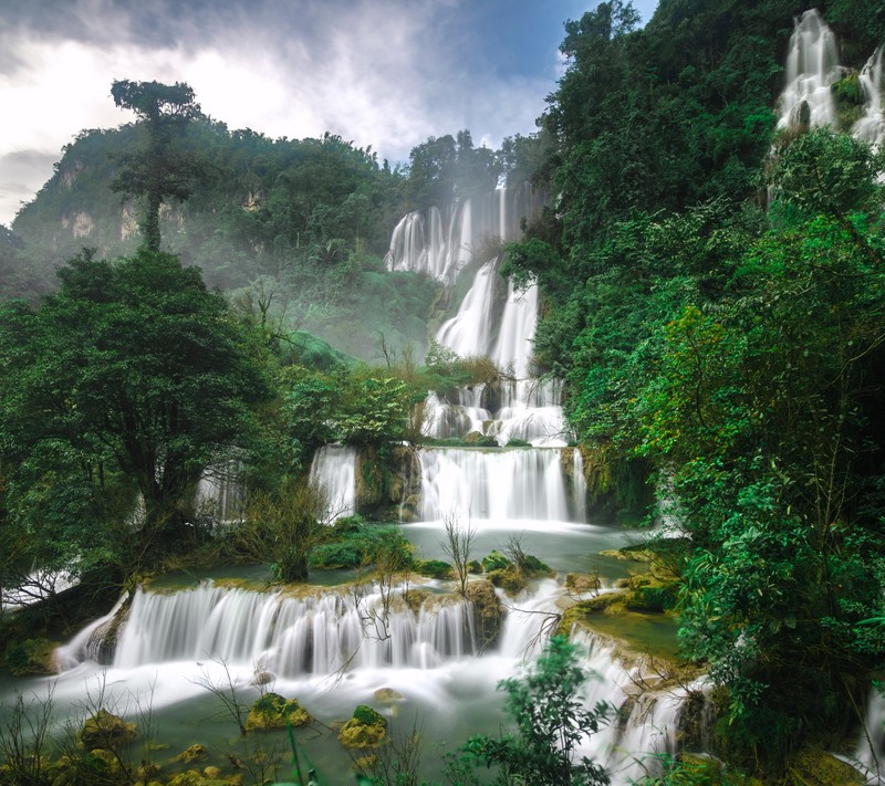 Водопад арафед посреди пышного зеленого леса (jungle forest, природа, дерево, вода, водопад)