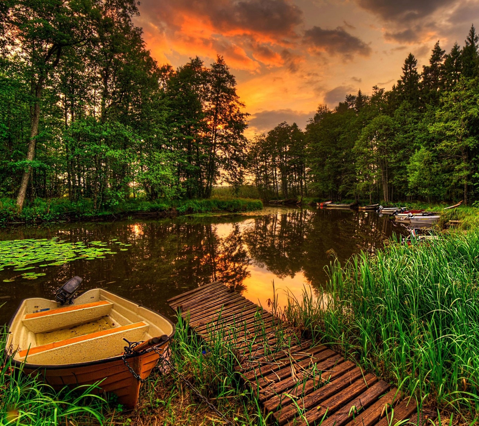 Ein boot, das am ufer eines sees liegt (boot, wald, landschaft, blätter, lilien)